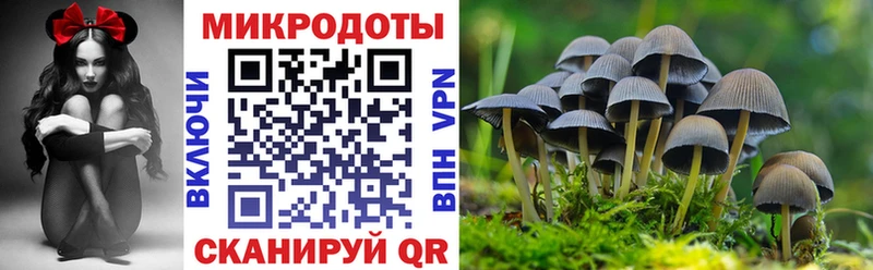 Псилоцибиновые грибы мицелий  Энем 