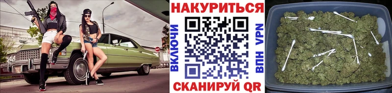 закладки  Энем  МАРИХУАНА семена 